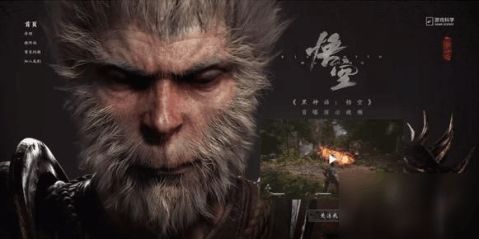 《黑神话悟空》黑风山苍狼林全收集攻略秘籍！