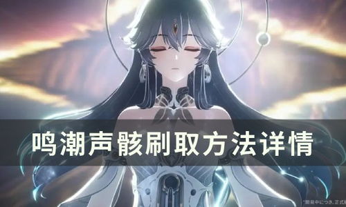 《鸣潮》声骸分解攻略：高效获取资源秘籍