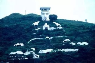《心动小镇皇帝鸬鹚：神秘藏匿之地揭秘》