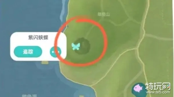 《心动小镇赤翅甲捕捉攻略：隐藏位置大揭秘》