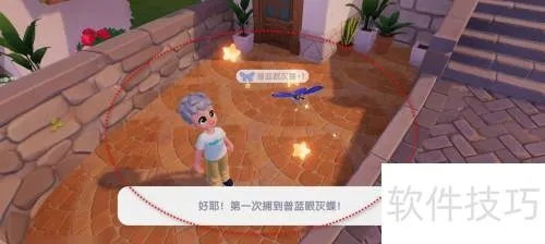 《心动小镇普蓝眼灰蝶捕捉攻略:隐藏地点大揭秘》 《心动小镇普蓝眼灰蝶捕捉攻略:隐藏地点大揭秘》