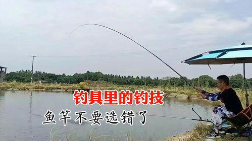 《心动小镇刺臀鱼钓点揭秘：独家钓技分享》