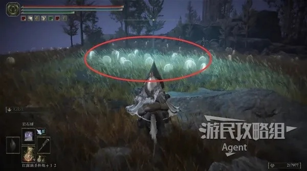 《艾尔登法环》穆尔集物虫DLC黄金树幽影攻略：隐藏宝藏解锁秘籍