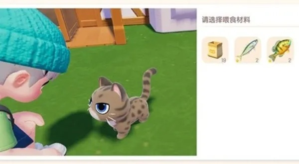 《心动小镇猫咪养成攻略：解锁猫咪养成新姿势》