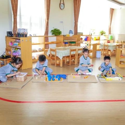 《绝区零》S级角色养成攻略：全S级阵容打造秘籍