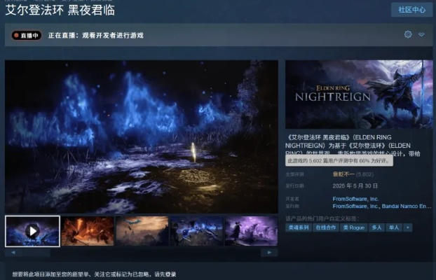 《艾尔登：黑夜君临》Steam好评如潮，揭秘褒贬不一背后的真相