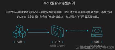 《多重人生》攻略：轻松提升有机物储存，解锁更多潜能！