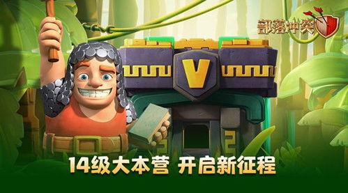 《麦芬暴走深林攻略：大王挑战全解析》