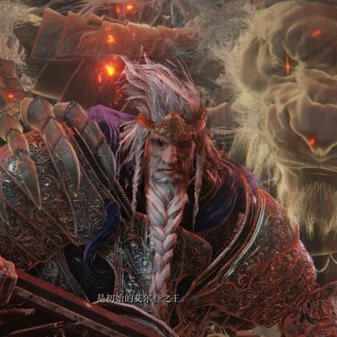 《艾尔登法环》黄金树之影DLC力感流攻略：深度解析！