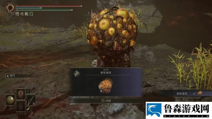 《艾尔登法环》DLC黄金树之影：巅火之王米德拉高效攻略揭秘