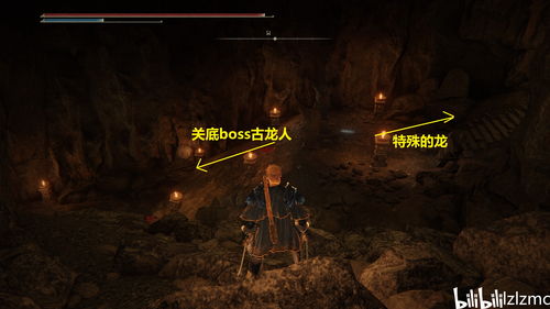 《艾尔登法环》黄金树之影DLC灵火龙轻松逃课攻略！