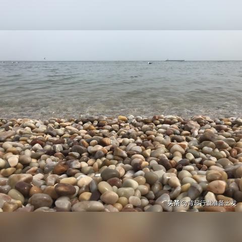 《仙境传说起源》宠物捕捉攻略：轻松养成最强伙伴