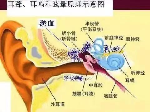 《鸣潮红名怪全16位分布攻略》
