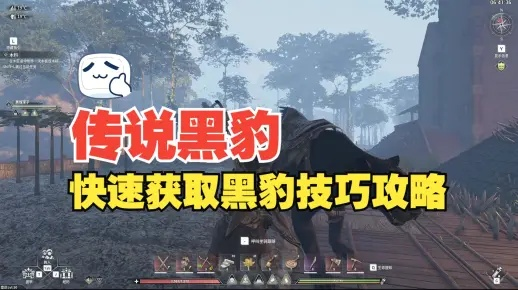 《灵魂面甲黑豹坐骑攻略:高效捕捉技巧揭秘》 《灵魂面甲黑豹坐骑攻略:高效捕捉技巧揭秘》