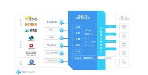 《鸣潮》金阳凤高效采集攻略：快速升级必备路线