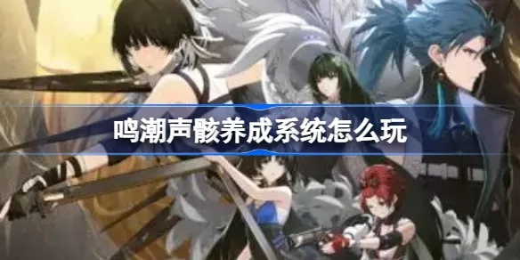 《鸣潮》声骸强化攻略:高效提升战力秘籍 《鸣潮》声骸强化攻略:高效提升战力秘籍