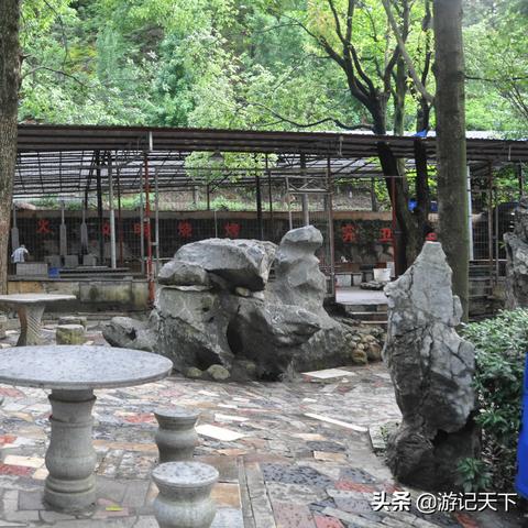 《鸣潮》灯笼果获取攻略：揭秘刷新点与高效收集法