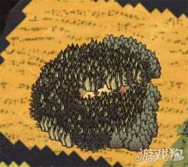 《鸣潮》高效采集攻略：轻松领跑灯笼果采集！