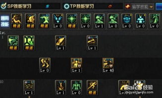《DNF起源》格斗家双职业完美加点技巧揭秘！