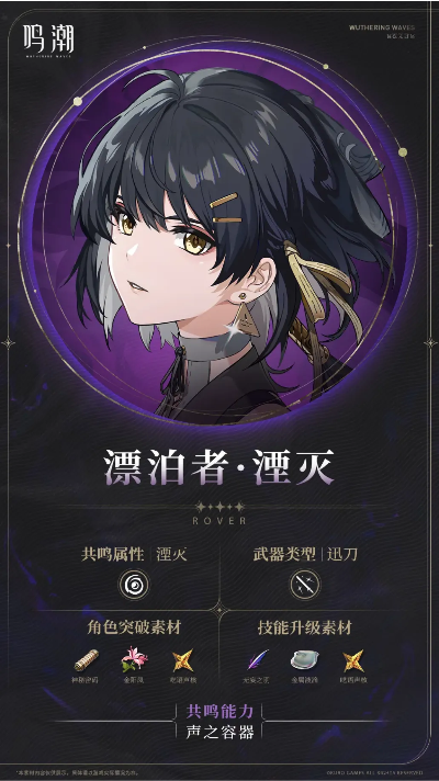 《鸣潮》湮灭属性漂泊者养成攻略：暗主培养技巧揭秘