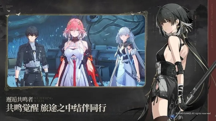《鸣潮》四星角色搭配攻略：高效过渡必备！