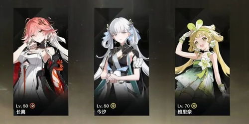 《鸣潮》维里奈培养攻略：武器声骸搭配及队伍最佳组合