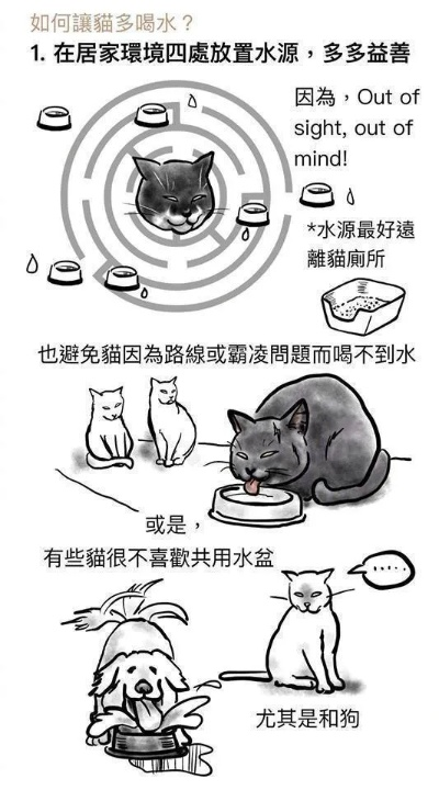 《动物井》猫咪解救攻略：高效指令速查秘籍