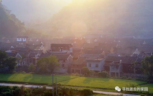 《夜族崛起》高效建房攻略:解锁建筑技巧,打造最强家园 《夜族崛起》高效建房攻略:解锁建筑技巧,打造最强家园