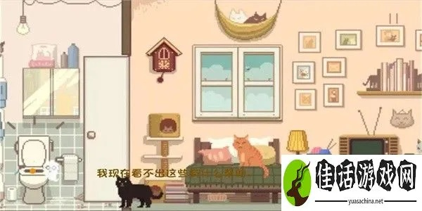 《小猫咪大城冒险全攻略：隐藏技巧大揭秘》