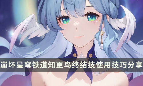 《崩坏星穹铁道》2.2知更鸟培养攻略：高效抽取与搭配指南