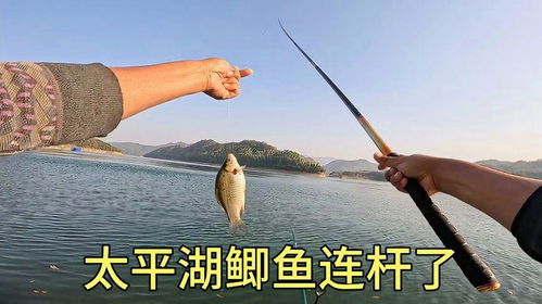 《恶意不息钓鱼攻略：竿位技巧大揭秘》