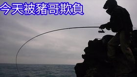 《恶意不息钓鱼攻略：竿位技巧大揭秘》
