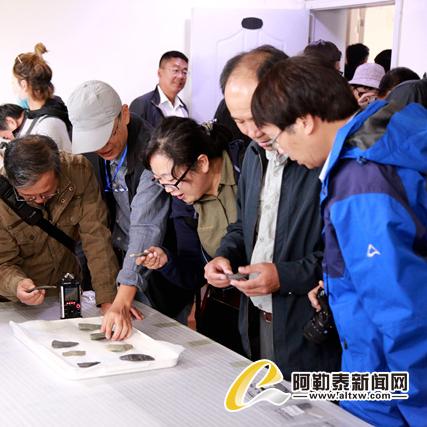 《石器时代：宠物世界》新篇章，探索未知宠物养成之旅