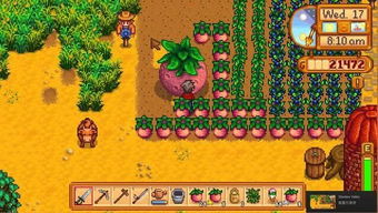 《星露谷物语》虾虎鱼钓鱼攻略：揭秘最佳钓点！