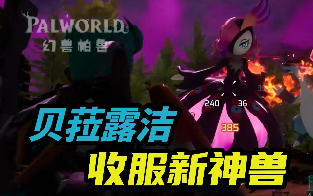 《幻兽帕鲁贝拉露洁攻略》高效打法揭秘