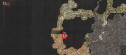 《龙之信条2》幻术师大师技能速解攻略，轻松解锁！