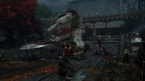 《鬼武者：剑之路》全内容保留！导演承诺公平对待，独家揭秘！