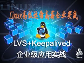 《Lazaret》攻略：实战视频解析，轻松通关技巧揭秘