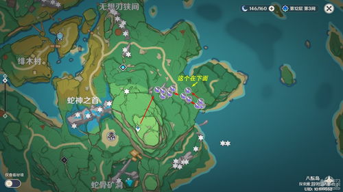 《原神》4.4仙人游庄攻略：高效任务路线揭秘！