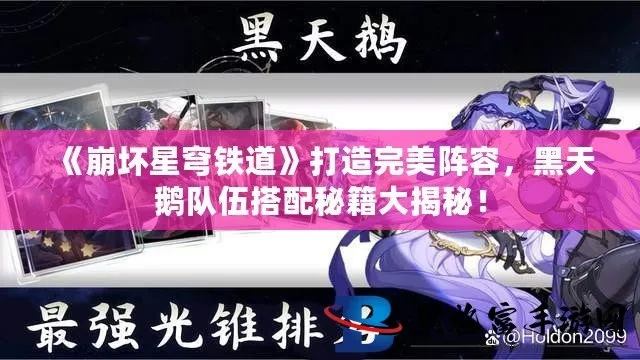 《崩坏星穹铁道》黑天鹅攻略：高效培养与完美配队指南