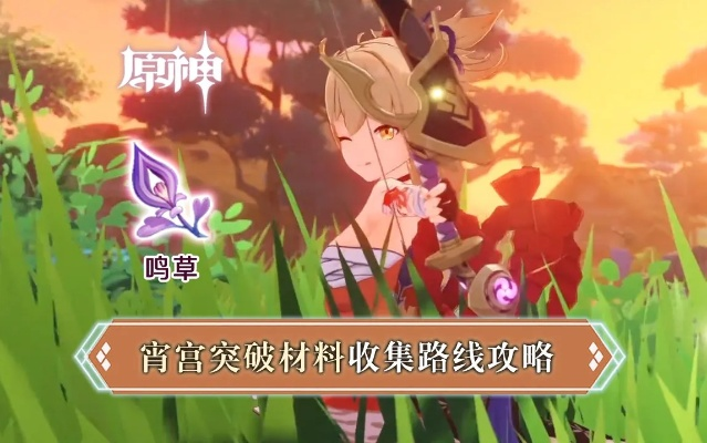 《原神》4.3宵宫突破必备：鸣草高效采集攻略速查！
