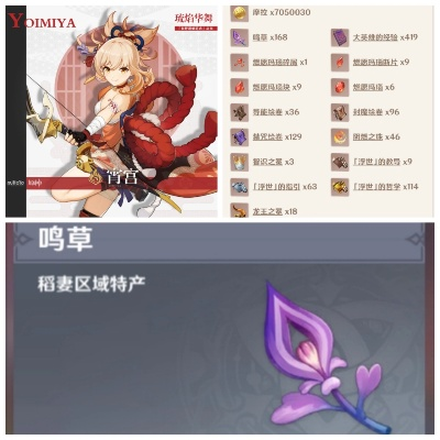 《原神》4.3宵宫突破必备：鸣草高效采集攻略速查！