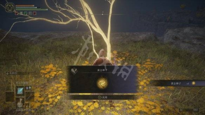 《艾尔登法环》新手攻略：快速跑图技巧全解析