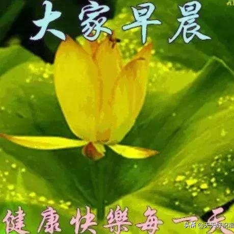 《无畏契约》日落之城站位攻略：掌握制胜关键