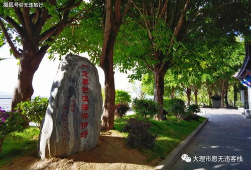 《P5T深度攻略：解锁重复游玩新境界》