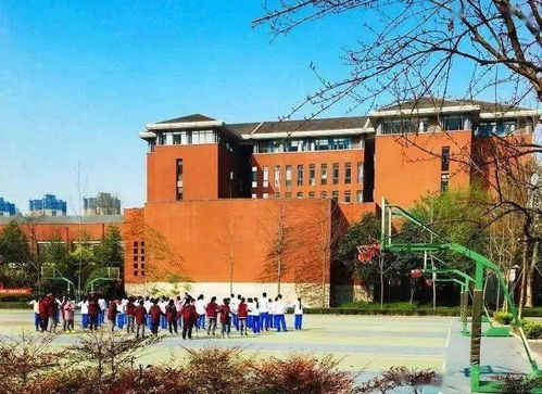 《原神》4.2美露莘谜题解密：亚瑟先生推理攻略揭秘