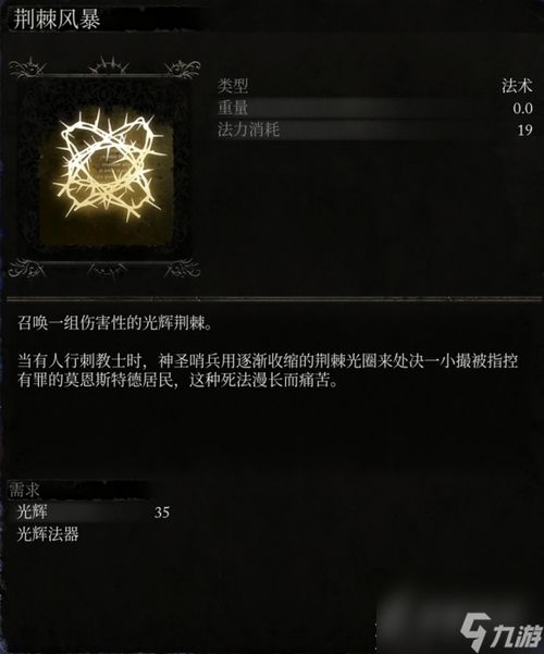 《堕落之主》光辉流构筑攻略：深度解析，实战技巧分享