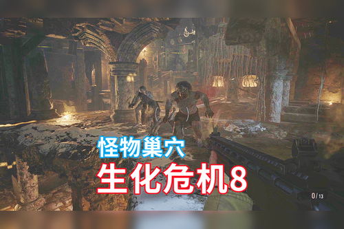 《折磨巢穴实况解说：全程攻略揭秘》