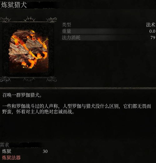 《堕落之主》猎犬女主人高效攻略：轻松击败技巧揭秘