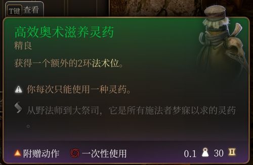 《博德之门3》减伤残响流Build攻略：高效生存秘籍
